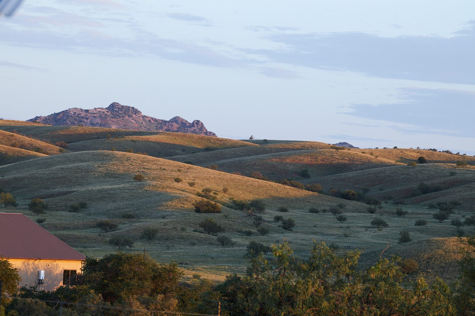 The hills the farm sits in, at first light.