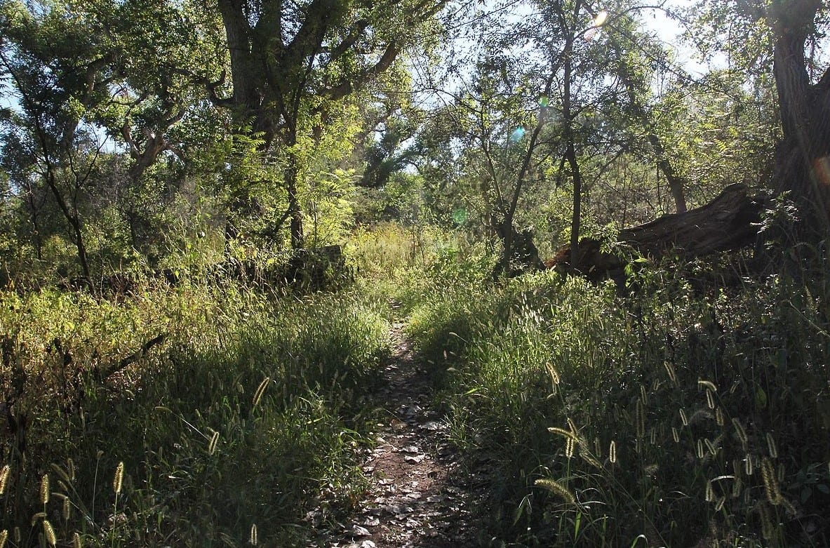 Patagonia-Sonoita Creek Preserve