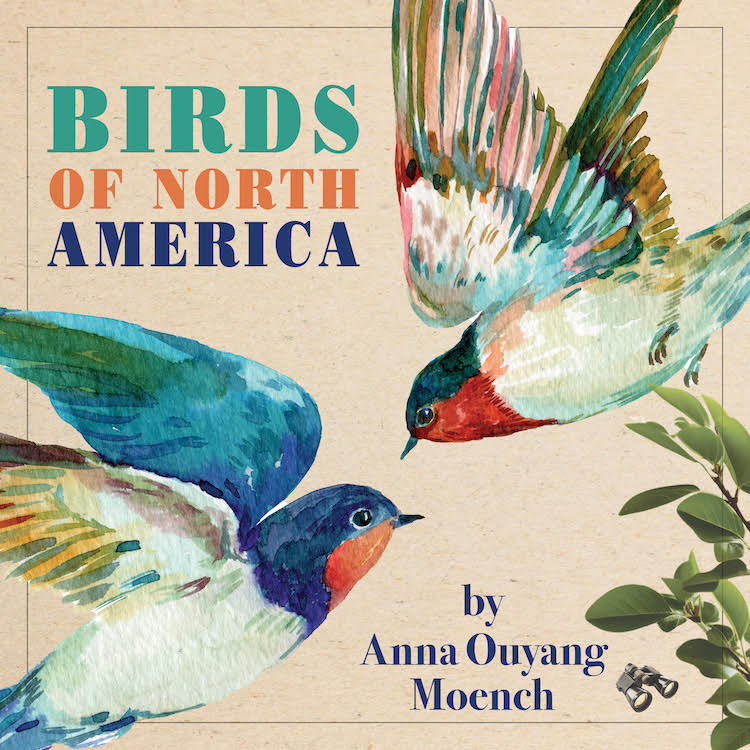 Key art for Birds of North America
